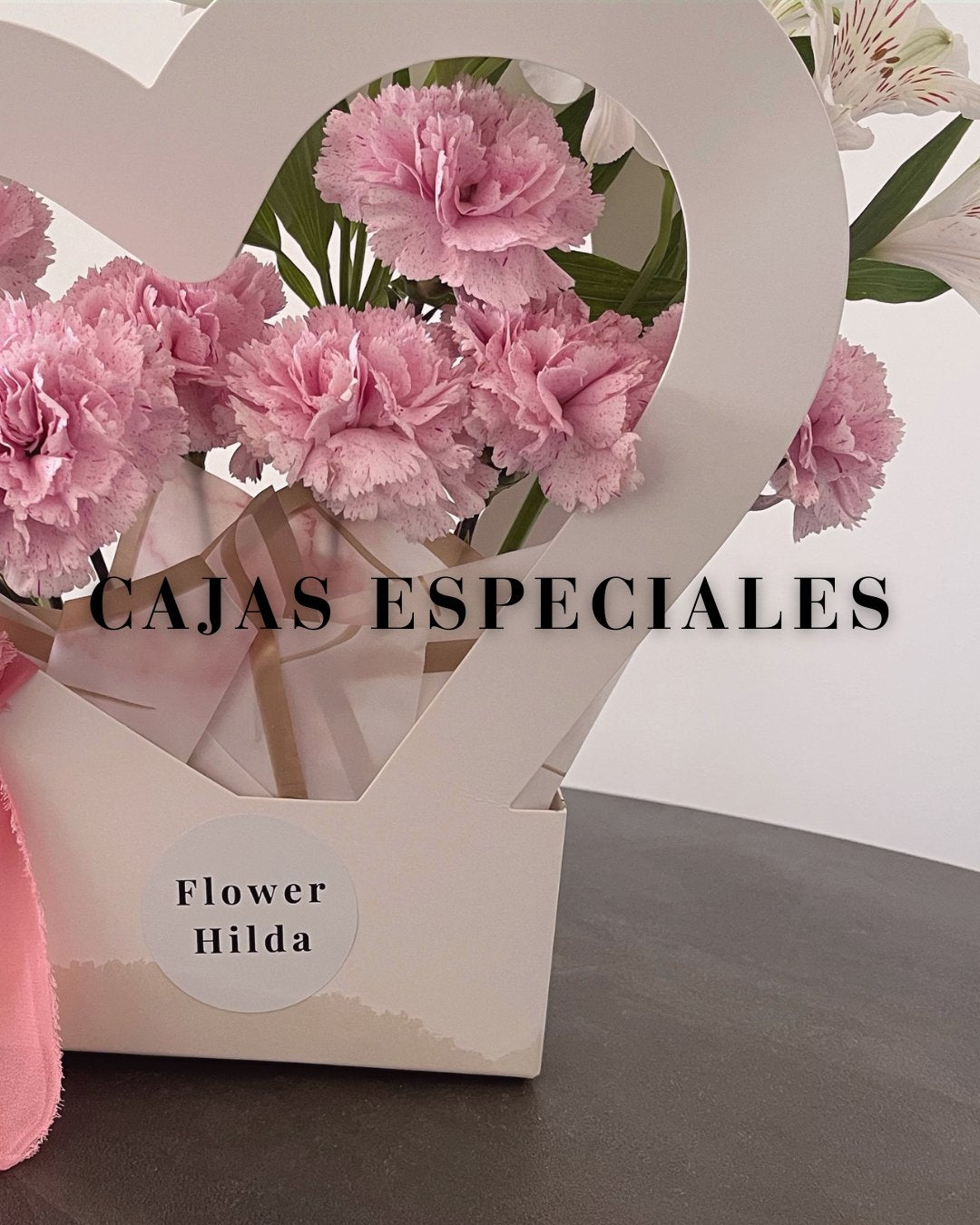 CAJAS ESPECIALES
