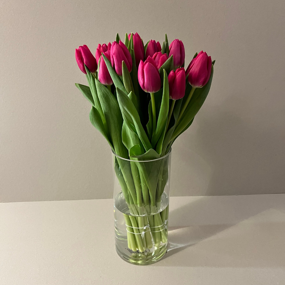 Bouquet de Tulipanes Fucias