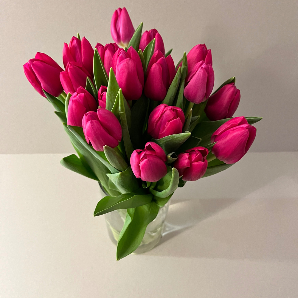 Bouquet de Tulipanes Fucias