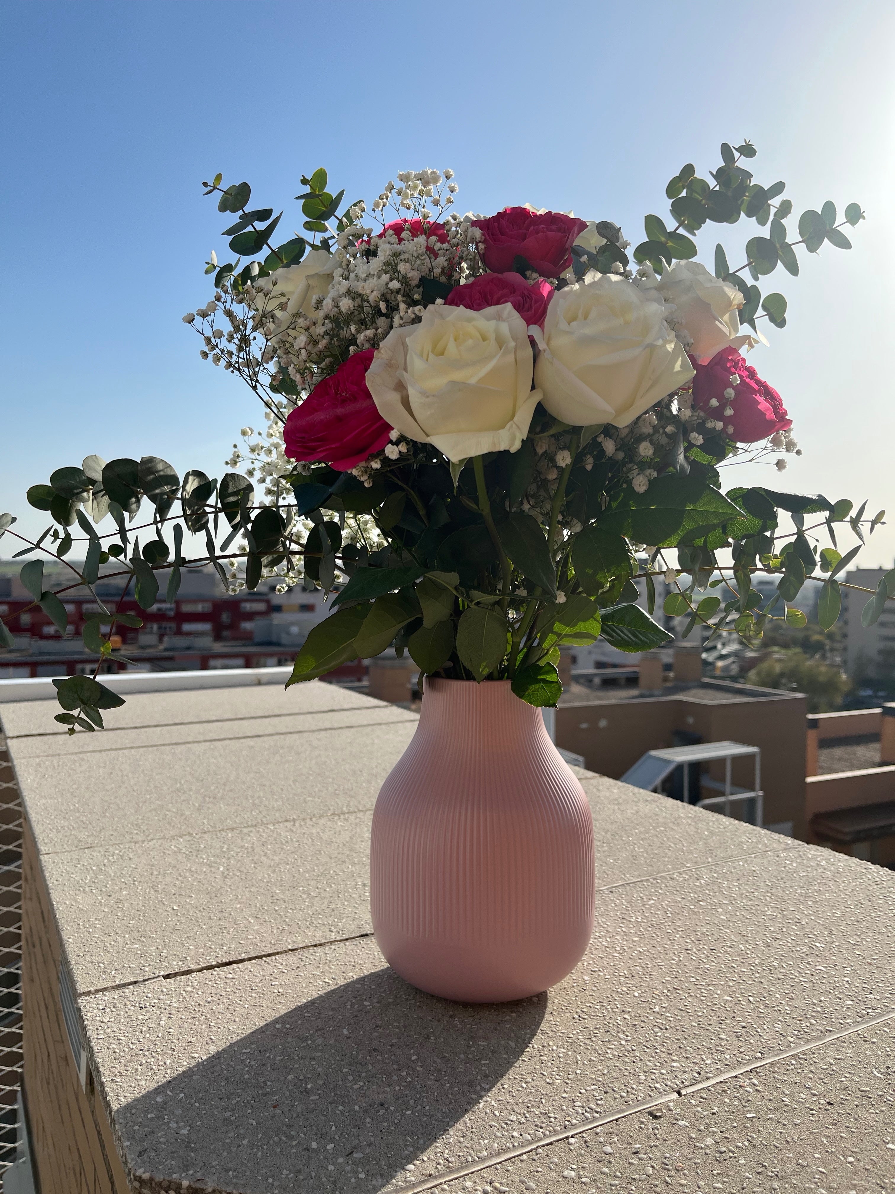 El Contraste Delicado